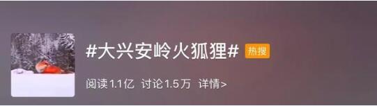 被骗了!原来黑龙江“火狐狸”是假的!视频上传者公开道歉!