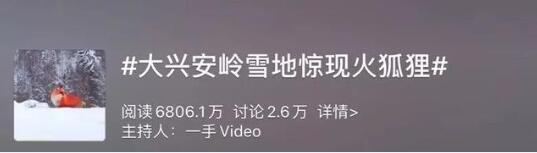 被骗了!原来黑龙江“火狐狸”是假的!视频上传者公开道歉!