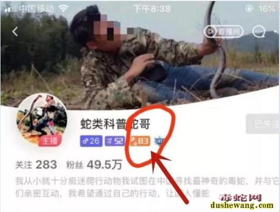 网红直播捕蛇被指获利数百万元!