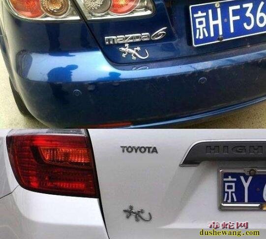 汽车后面贴壁虎是什么意思?车贴壁虎的禁忌有哪些!