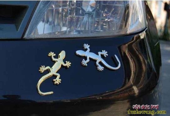 汽车后面贴壁虎是什么意思?车贴壁虎的禁忌有哪些!