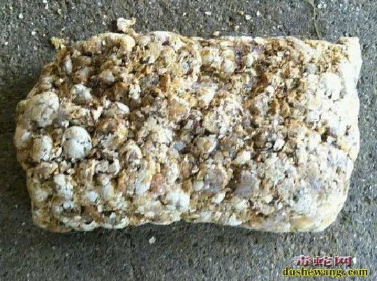 养蛇可以长期用煮熟的毛蛋喂蛇吗?对蛇的健康有影响吗?