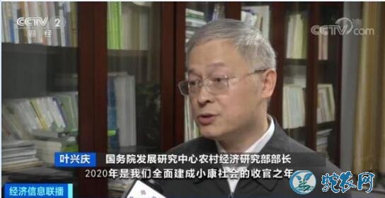 2020年中央要为农村办16件大事!农民朋友赶紧看看!