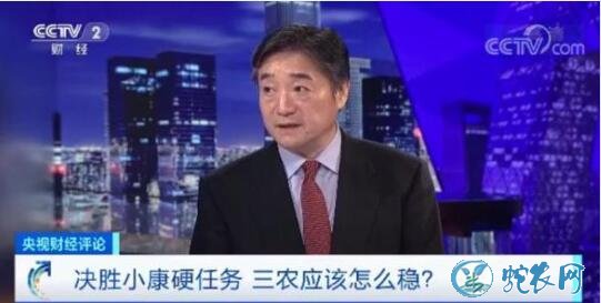 2020年中央要为农村办16件大事!农民朋友赶紧看看!