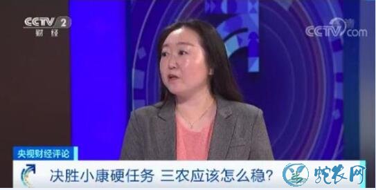 2020年中央要为农村办16件大事!农民朋友赶紧看看!