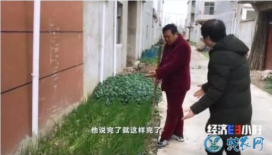 农村厕所改造:给村民200元封口?埋三只塑料桶就是厕所?