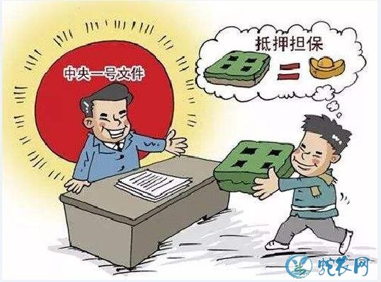 农村土地经营权抵押贷款!金湖县江苏省农村产权交易平台线上交易以启动!