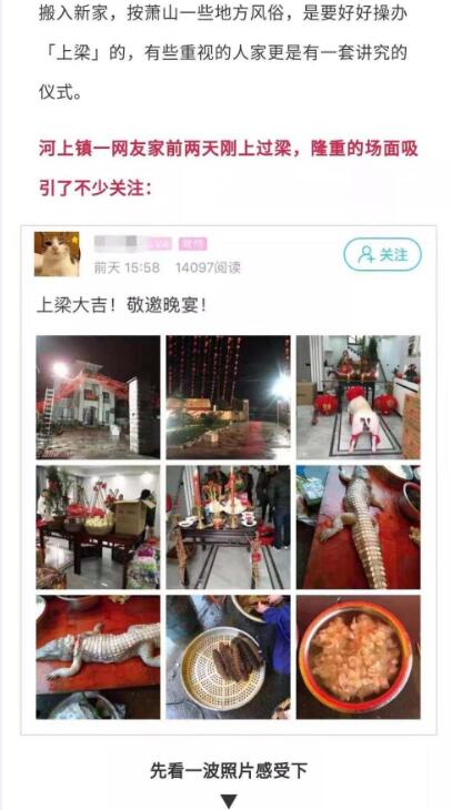 杭州农村酒席惊现鳄鱼看呆网友!