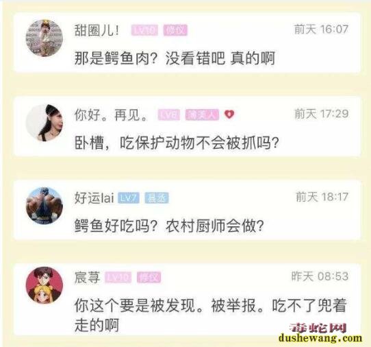 杭州农村酒席惊现鳄鱼看呆网友!