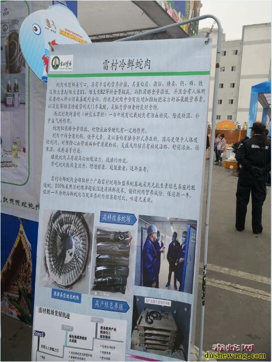 2020年养蛇技术培训哪家技术好?培训费多少钱适合?
