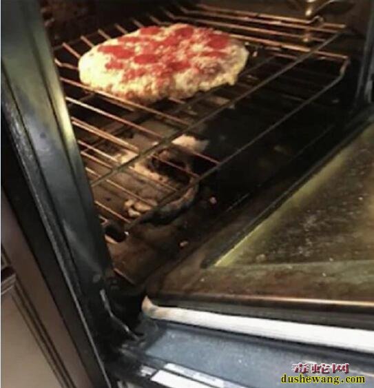 恶心！美国主妇烤披萨时闻到异味！原来烤焦了一条蛇！