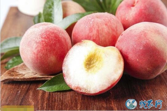 水蜜桃品种、水蜜桃的品种分类、有哪些新品种？