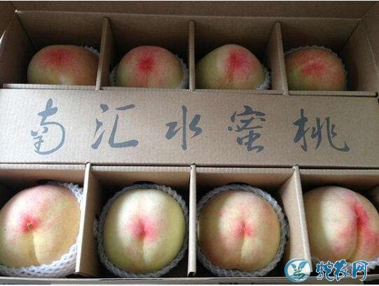 水蜜桃品种、水蜜桃的品种分类、有哪些新品种？