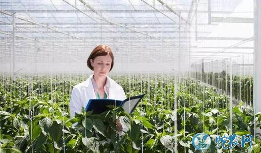 什么职业最受关注?2019抖音数据显示农民和程序员点赞最多!
