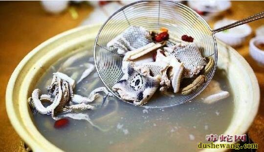 癌症术后患者可以吃蛇肉吗?