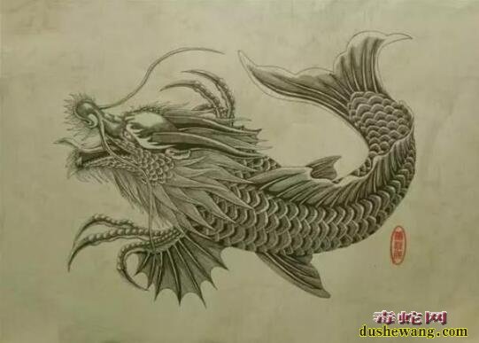 中国古代鱼化龙！蛇化龙！这两种龙有什么区别呢？