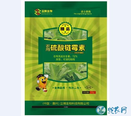 金针菇长斑怎么治?种植金针菇的黑斑病、锈斑病防治方法!