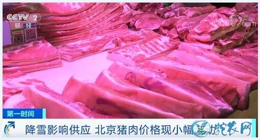 降雪影响供应、北京猪肉价格现小幅波动!价格相对平稳!