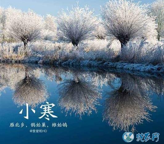 2019今年小寒节气是几月几日?小寒都有什么习俗和禁忌?