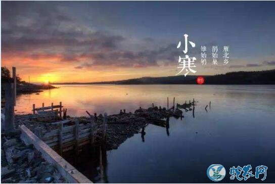 2019今年小寒节气是几月几日?小寒都有什么习俗和禁忌?