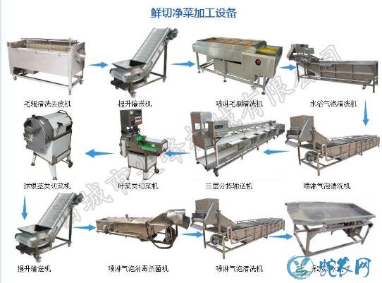 净菜加工设备、净菜加工设备厂家品牌明细!