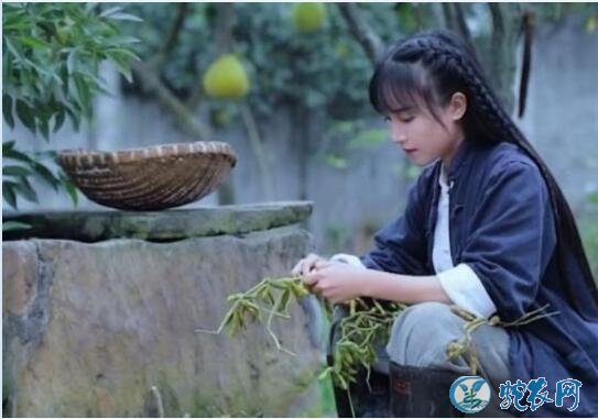 李子柒否认年入1.6亿怎么回事?文章发布者删文道歉来了解一下!