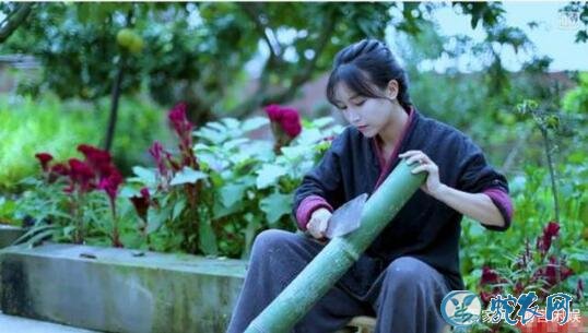 李子柒否认年入1.6亿怎么回事?文章发布者删文道歉来了解一下!