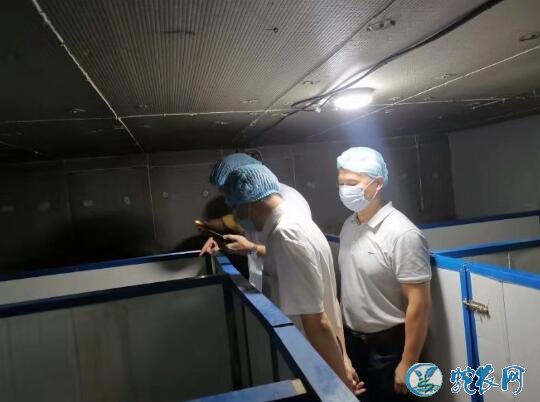 养殖王锦蛇、养王锦蛇最好在什么地方养殖?