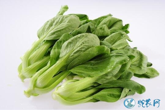 2020年1月13日青菜价格行情、今日青菜多少钱一斤?