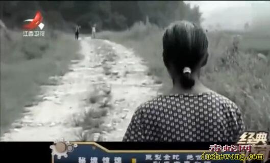 揭秘!浏阳田间地头一条金色巨蛇,如水桶般粗!