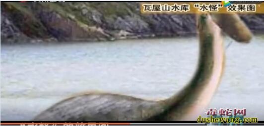 揭秘！四川瓦屋山水库大型“水怪”！村民拍到它的真面目专家不淡定了！