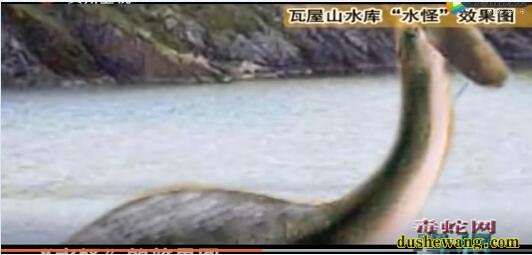 揭秘!四川瓦屋山水库大型“水怪”!村民拍到它的真面目专家不淡定了!