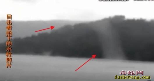 揭秘!四川瓦屋山水库大型“水怪”!村民拍到它的真面目专家不淡定了!