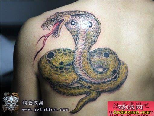 蛇纹身图案大全、美女、帅哥眼镜蛇纹身个性展示！