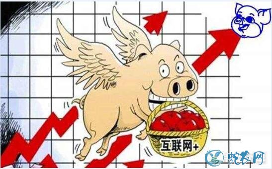 养猪场、互联网上养猪场养猪赚钱骗局!