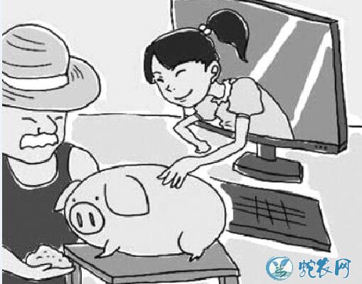 养猪场、互联网上养猪场养猪赚钱骗局!
