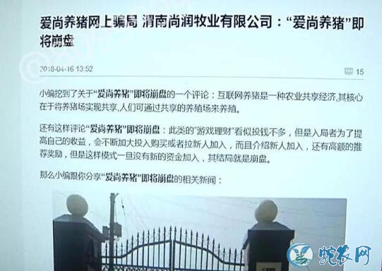 养猪场、互联网上养猪场养猪赚钱骗局!