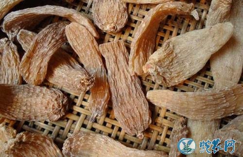 2020年1月15日天麻价格行情、今日天麻多少钱一斤?