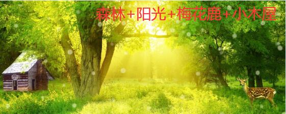 梅花鹿图片、各种梅花鹿图片大全欣赏!