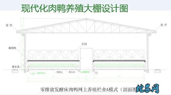 肉鸭养殖大棚、自动化肉鸭养殖大棚设计图!