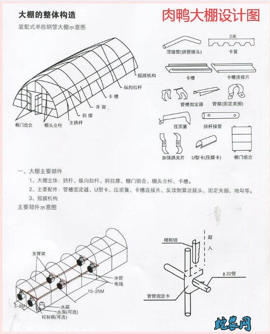 肉鸭养殖大棚、自动化肉鸭养殖大棚设计图！