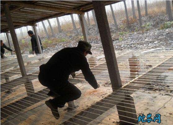 肉鸭养殖大棚、肉鸭养殖大棚地面需要硬化吗?
