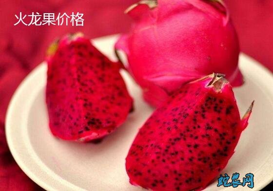 2020年1月17日火龙果价格行情、今日火龙果多少钱一斤?