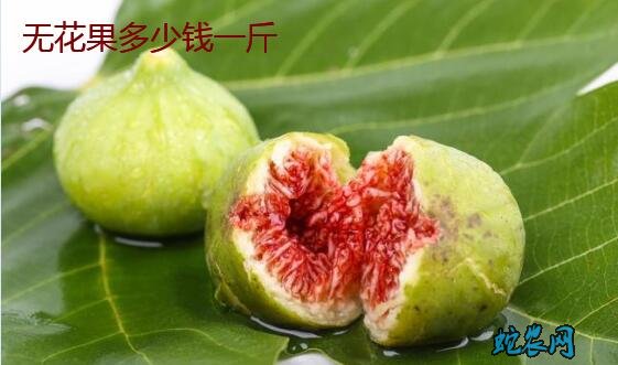 2020年1月18日无花果价格行情、今日无花果多少钱一斤?