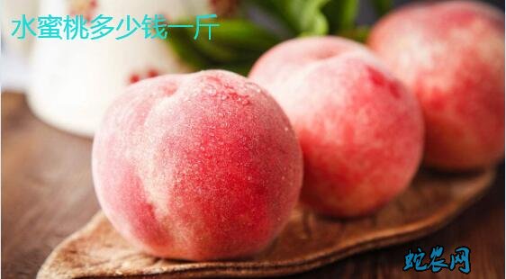2020年1月18日水蜜桃价格行情、今日水蜜桃多少钱一斤?