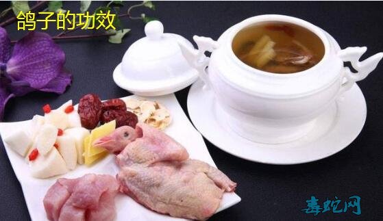 鸽子的功效、吃鸽子有哪些功效与作用？