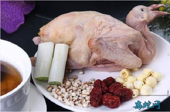 鸽子的功效、吃鸽子有哪些功效与作用？