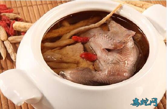 鸽子的功效、吃鸽子有哪些功效与作用？