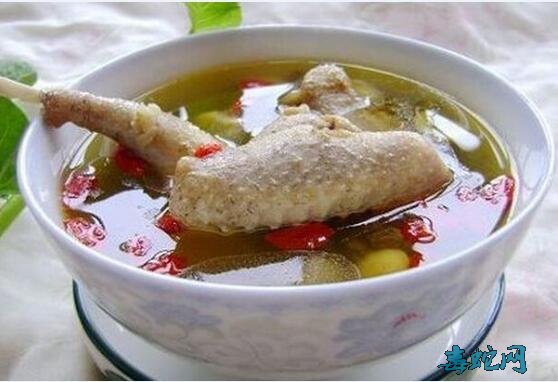 鸽子的功效、吃鸽子有哪些功效与作用？