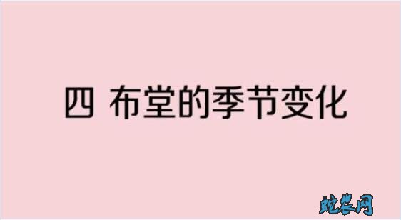 抓竹鸡、抓竹鸡下套布堂实战图!